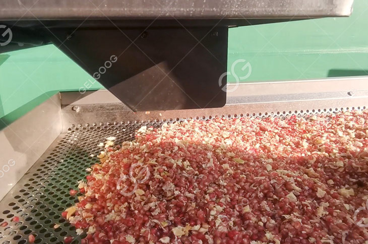 Seeds Vbrating