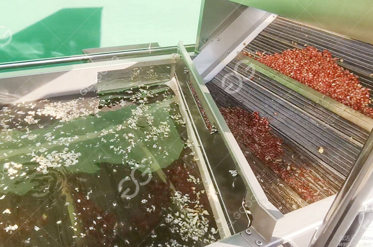 Seeds Washing