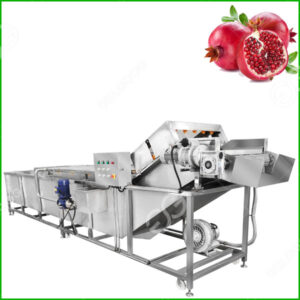 pomegranate washing machine