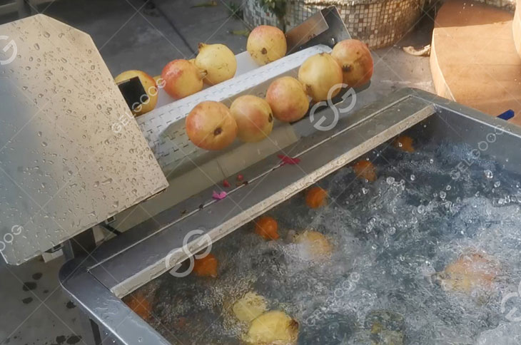 Pomegranate Washing