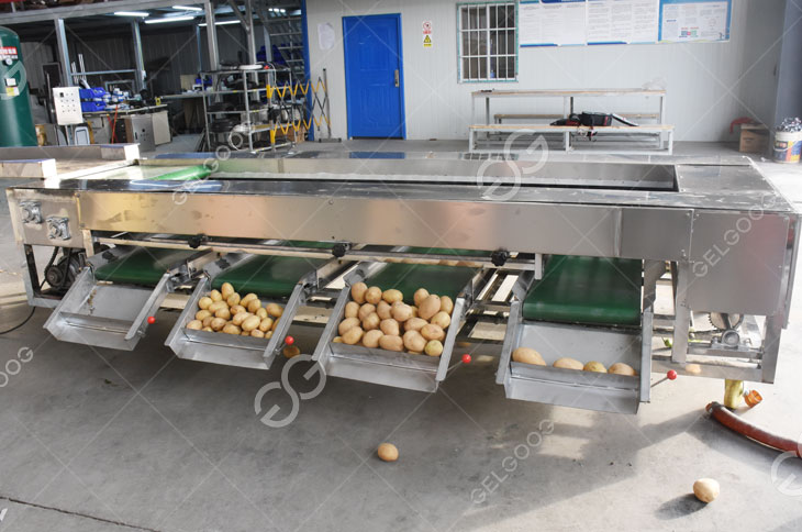 Potato Grading