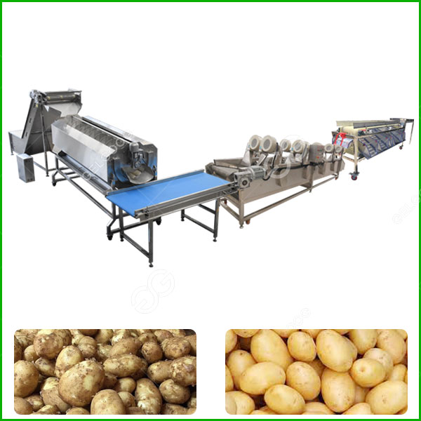 potato washing drying grading line