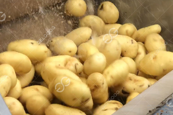 Potato Washing
