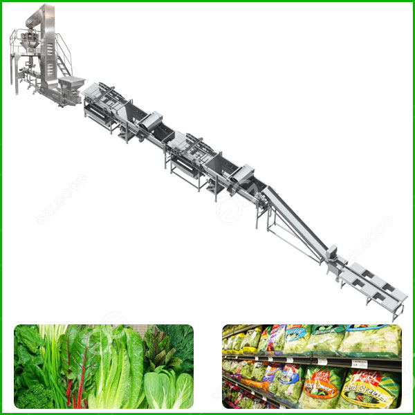 fresh cutted vegetable processing line