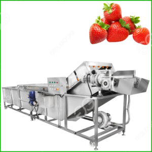 strawberry washing machine