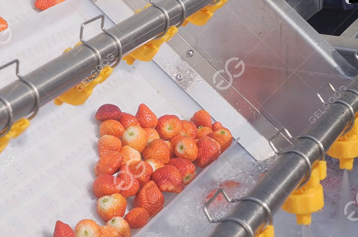 Strawberry Washing