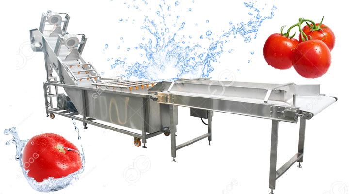 tomato fruit washing machine