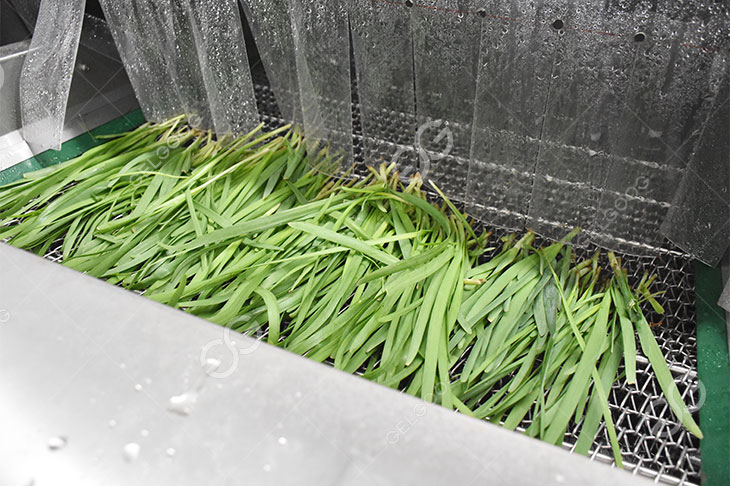 leek washing machine
