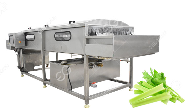 vegetable washing machine