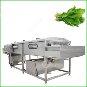 vegetable washing machine