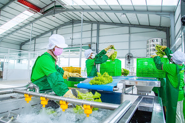 vegetable-processing-techniques
