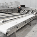 fruit-sorting-machine