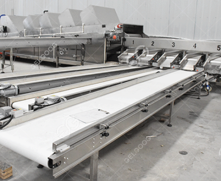 fruit-sorting-machine