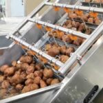 potato-washing-line