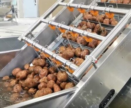 potato-washing-line